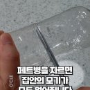 쉽게 할 수 있는 초간단 모기 퇴치법 이미지