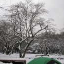 관음사(야영장) 이미지