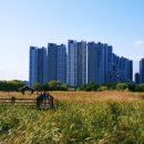 남양 유아숲체험원 이미지