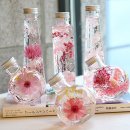 윤하농장 이미지