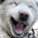 신서1 이미지