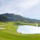 골프존카운티 드래곤 이미지