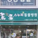 허브동물병원 이미지