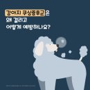 행신동물병원 이미지