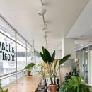 올데이 밀 이미지