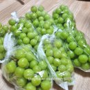 지민농원 네이버블로그