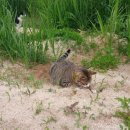 보미저수지 이미지