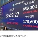 "쉬었음보다 서럽다"…삼전·SK하이닉스 '놓쳤음 인구' 이미지