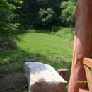 야생초마을아미골 이미지