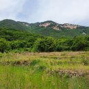 신세기공인중개사사무소 이미지