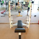 달라스 휘트니스 이미지