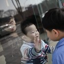 베베스토리 이미지