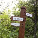 아림유치원 이미지