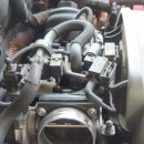 애니카랜드 수암점 이미지