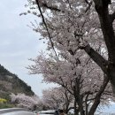 시누스 | 추천] 가성비 좋은 풀빌라 &#39;시누스 :: Cuco(쿠코)&#39; 내돈내산 솔직후기 (ft.수영장, 어메니티, 다랭이마을)