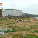 더애월민박