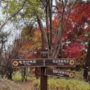 웰빙타운 | 🍂 수원 영통 웰빙타운 근처 가을 산책 후기