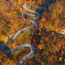 BLACK PINE RESORT 이미지