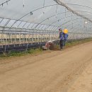 인덕농장 이미지