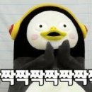 뽀끼월드