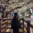 (주)아성다이소 부산개금점 | [ 일상 ] 25년 4월 일상 (1)