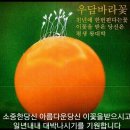 벌봉(512.2M) 남한산(522.1M) 한봉(418.1M) 경기도 성남/광주 이미지