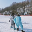 겨울시즌 전국 스키장 필수어플 추천 스노우라이브 &amp; 날다람쥐 스키에이트 강습 이벤트 후기