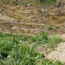 생동농장 이미지