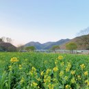 금암리 간이화장실 이미지