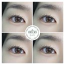 아름다운속눈썹