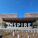 핑크고래 이미지