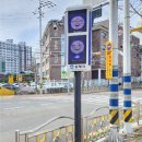 임호초등학교 이미지