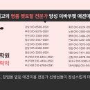 동화애견샵