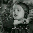 한*한 이미지