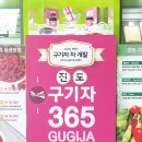진도구기자