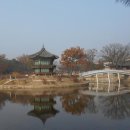 향원정 이미지
