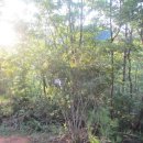 여치펜션민박 이미지