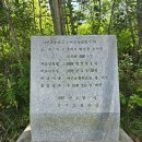 어도숲 캠핑장 이미지