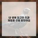 이엘치과의원 이미지