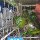 세븐일레븐 탄방아트빌점