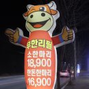 미스터뚱 이미지