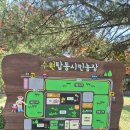 정칠수농장 | 아이와 가볼만한곳- 텐트 치기 좋은 수원 탑동시민농장 잔디밭 피크닉 &amp; 상상캠퍼스 연극축제 솔직후기