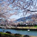 온천천관리사무소 | 어디로 갈까?) 2026 제7회 연제 고분 판타지 축제 / 안 가면 손해 부산 벚꽃명소 온천천 벚꽃 데이트 필수🌸