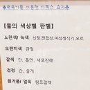 힐링엔젤스 이미지