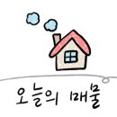 유니시티만경부동산중개사무소 네이버블로그