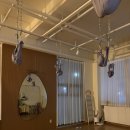 세븐일레븐 광주신창지구점 | 광주수완) 하웰 바른자세운동 에서 경험한 SNPE(Self Nature Posture Exercise) 체험 후기