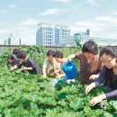 대덕농장2 이미지