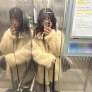 아메리칸양념통닭 | 케이크 / 대유냉삼겹 / 세화 모다정 / 나이테 카페 / 마노아 브런치 / 돌담통닭 / 커피러스트 카페