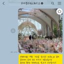 무아플라워스튜디오 촬영/본식 부케 후기 겸 사적인 얘기
