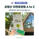 한양힐링하우스 | 문경새재 품은 조령산자연휴양림, 트리하우스와 족욕 객실 다녀와보니